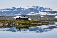 Réflexion sur le Hardangervidda