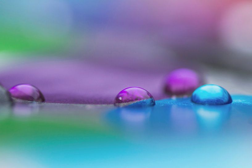 Fröhliche Tropfen von Birgitte Bergman