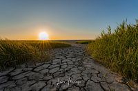 Die friesische Wattenküste