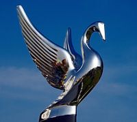 Logo auf einem Hogra-LKW