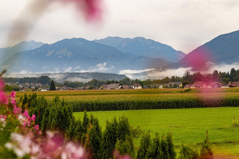 Awakening in Slovenia by Louise Poortvliet