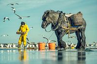 Horse fishery in Oostduinkerke