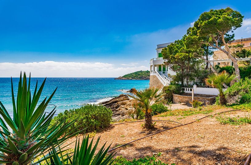 Magnifique paysage insulaire, littoral de Sant Elm avec vue idyllique sur la mer par Alex Winter