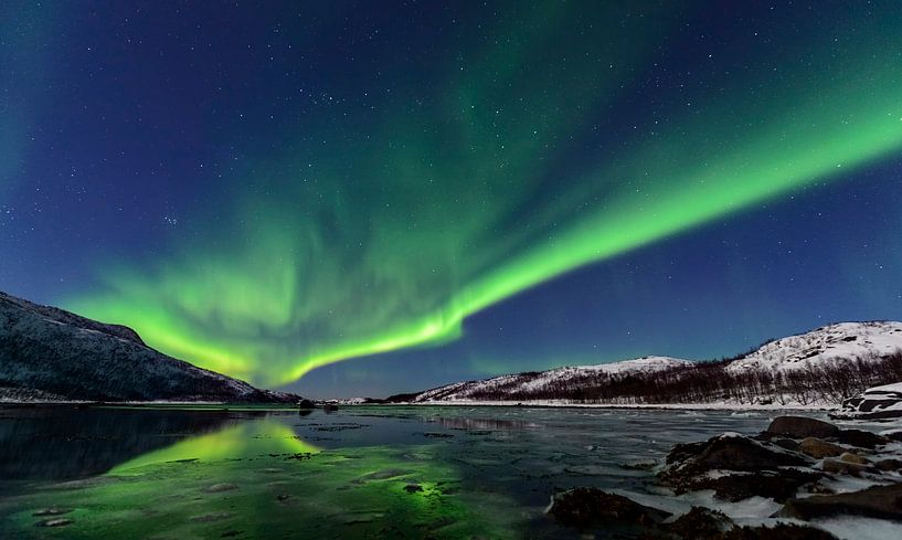 Aurores boréales au-dessus de l'île Senja dans le nord de la Norvège par Sjoerd van der Wal Photographie