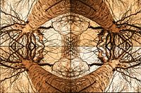 Kaleidoskopische Ansicht eines Baumes in Sepia