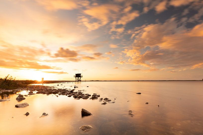 Golden light over Grevelingen by Louise Poortvliet