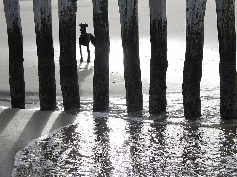 Gefangen hinter einem aufgetürmten Wellenbrecher von Coen de Haan