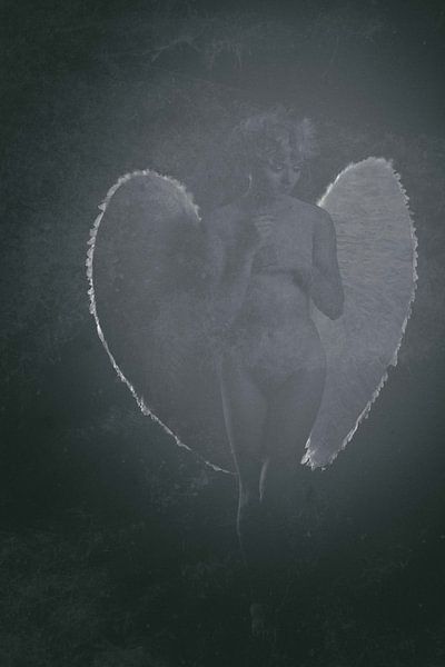 Engel 15 von Jeroen Schipper