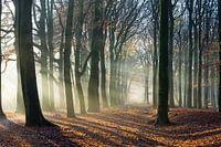Kleur en zonnestralen