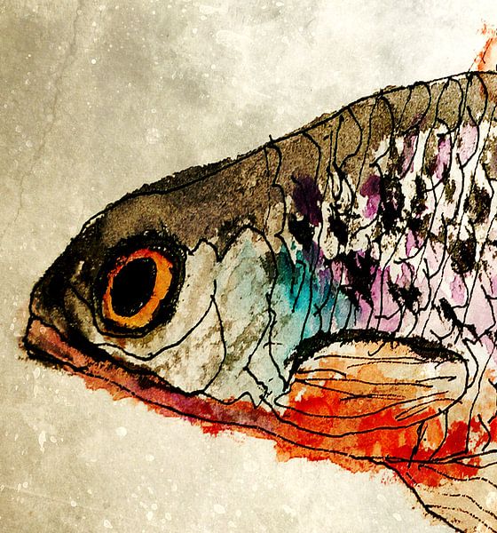 Poisson par Kay Weber