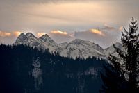 Alpenpanorama - Sonnenuntergang Allgäu im Winter