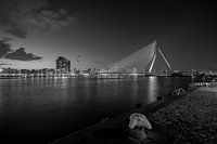 The skyline van Rotterdam met de Erasmusbrug (zwart-wit) bij zonsondergang