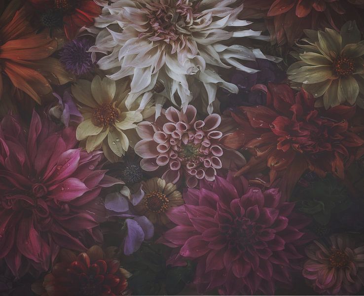 Regenbögen von Marina de Wit