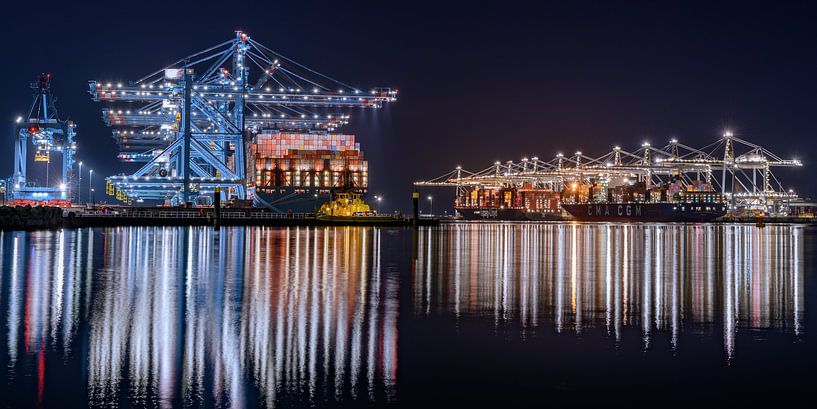 APM Terminals Maasvlakte 2 van Nico Roos