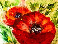 Zwei rote Mohnblumen