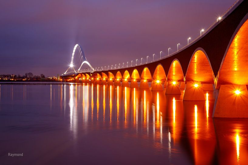 Serpent orange par Raymond van der Hoogt