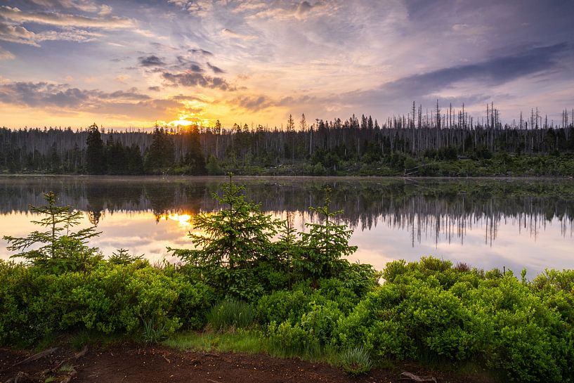 Naturally resin by Steffen Henze