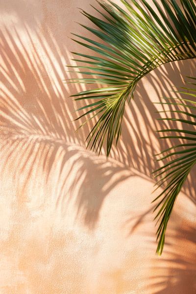 Ombre d'une feuille de palmier par Poster Art Shop