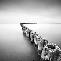 la voie de l'incertitude