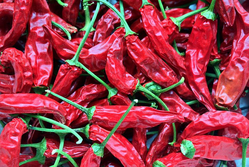 Piment rouge par Edgar Schermaul