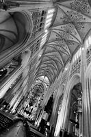 St John's cathedral in Den Bosch, black and white