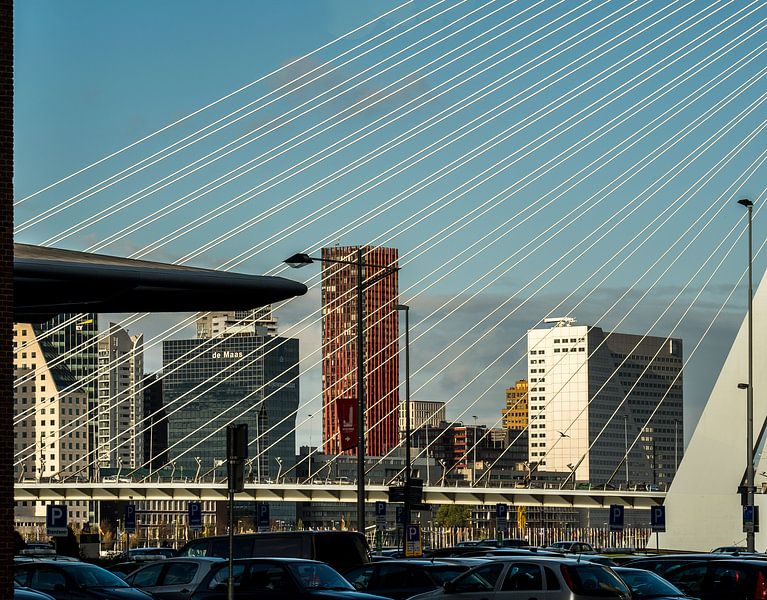 Rotterdam onder de Erasmusbrug. by Susan van der Riet