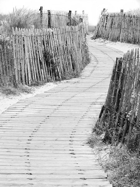 A la plage par Ton van Buuren