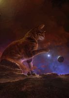 Whiskers and Wonder Cute Funny Cat