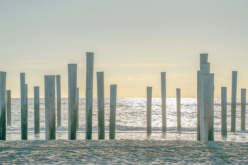 Palendorp Petten, Sonnenuntergang II von Caroline Drijber