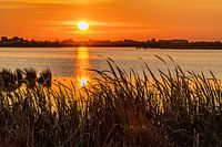 Roegwold dans la lumière du soir