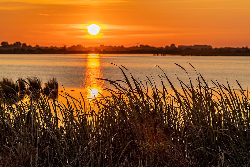Roegwold dans la lumière du soir par Joeri Imbos