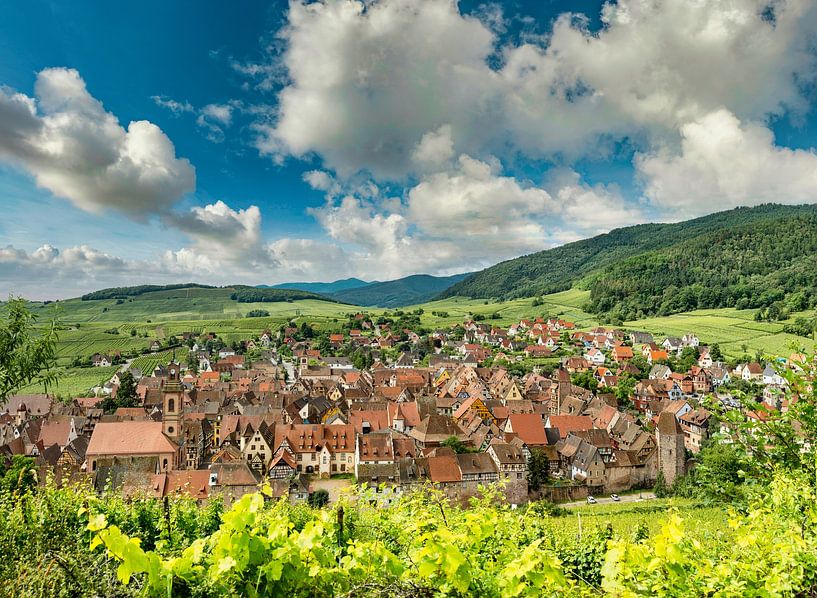 Ein Dorf inmitten von Weinbergen, Riquewihr, Frankreich von Rene van der Meer