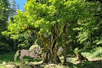 How the unicorn died out