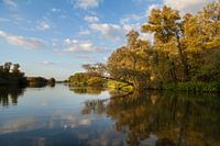 Reflections at the Biesbosch 1