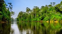 Kabalebo rivier in Suriname