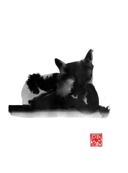 dos de chat par Péchane Sumie