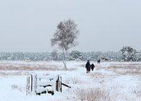Sneeuwlandschap Breeveen