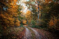 Walking through the dorm