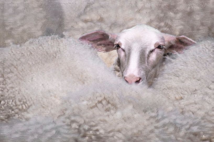 The Wool Factory 5 van Marc Lourens