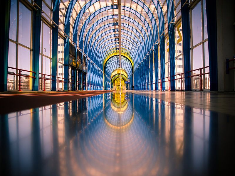 Mandela bridge Zoetermeer by Aandenken in Beeld