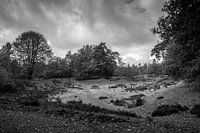  landschap in Drenthe