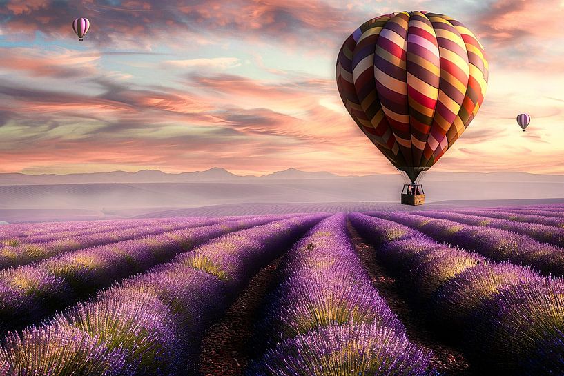 Hot air balloon over lavender field by Imperial Art House