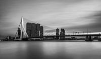 Rotterdam au plus doux.