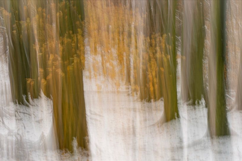 Abstrakter Buchenwald im Schnee. von Albert Beukhof