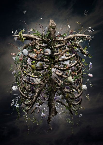 Je vais grandir par Jesper Krijgsman