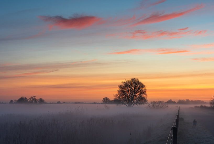 Une beauté solitaire. par Sander van der Werf