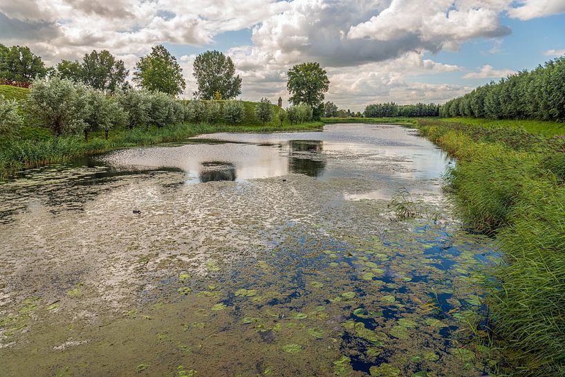 Graben von Schloss Loevestein in den Niederlanden von Ruud Morijn
