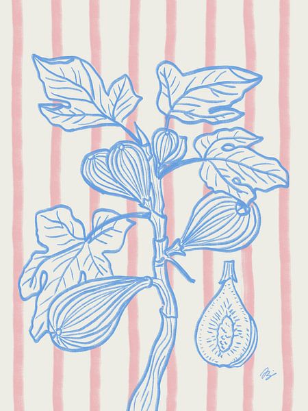 Feigen am Zweig von Anna Benge