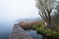 Kralingse plas im Nebel II