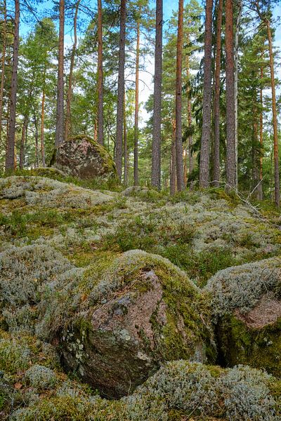 Sweden 269 by Geertjan Plooijer